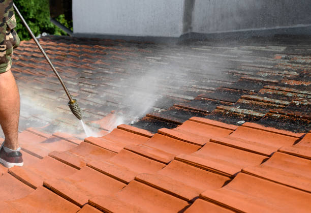 Best Affordable Pressure Washing  in Pine Manor, FL