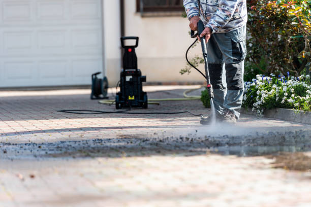Best House Pressure Washing  in Pine Manor, FL