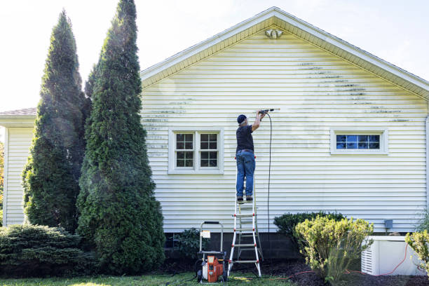 Local Pressure Washing Services in Pine Manor, FL