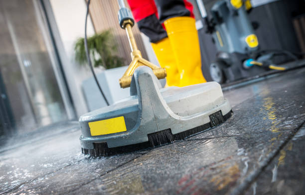 Best Roof Pressure Washing  in Pine Manor, FL