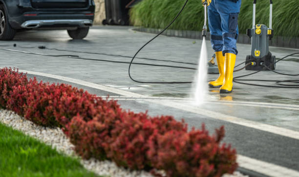 Best Pressure Washing Services Near Me  in Pine Manor, FL