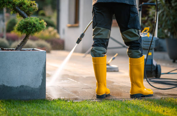 Best Pressure Washing Patio  in Pine Manor, FL